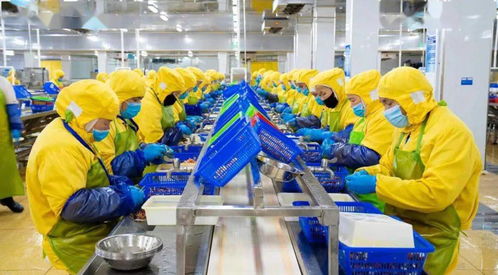 搶生產,保供應 國聯水產多措并舉硬核保障全國春節(jié)預制菜供應