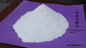 山東曲阜邁德森供應(yīng)優(yōu)質(zhì)廉價(jià)磷酸肌酸鈉 供應(yīng)信息 藥用原輔料網(wǎng) 制藥原料,制藥輔料,藥用輔料,原料藥,制藥中間體,植物提取物,動(dòng)物提取物,制藥設(shè)備,制藥包裝,制藥產(chǎn)品信息查詢,薄膜包衣,聚丙烯酸樹(shù)脂,藥用氧化鐵,藥用乳糖,羥丙基甲基纖維素,原料藥供應(yīng)